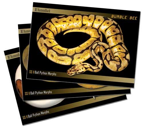 Diamondback Trading Cards