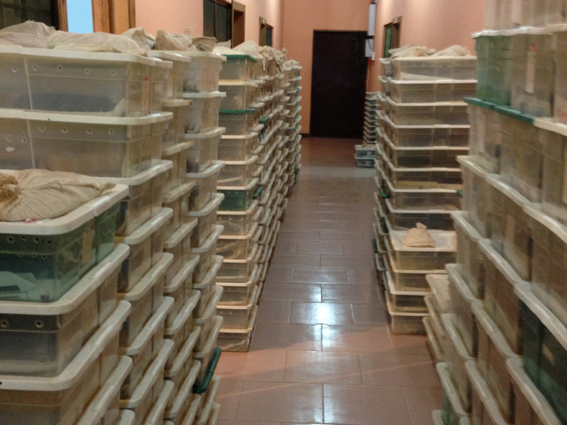 Ghana Tour 2013 - Visiting Noah