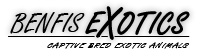 Logo of the ball python breeder Benfis Exotics