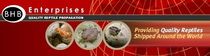 Logo of the ball python breeder BHB Enterprises