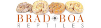 Logo of the ball python breeder Brad Boa Reptiles