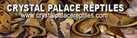 Logo of the ball python breeder Crystal Palace Reptiles