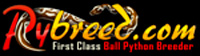 Logo of the ball python breeder Pybreed