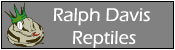 Logo of the ball python breeder Ralph Davis Reptiles