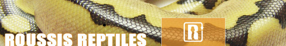 Roussis Reptiles