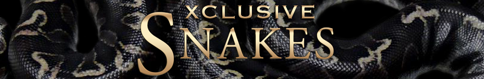 Xclusive Snakes