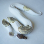 Uy qurilishi erotikasi Oila bilan guruh jinsiy aloqa