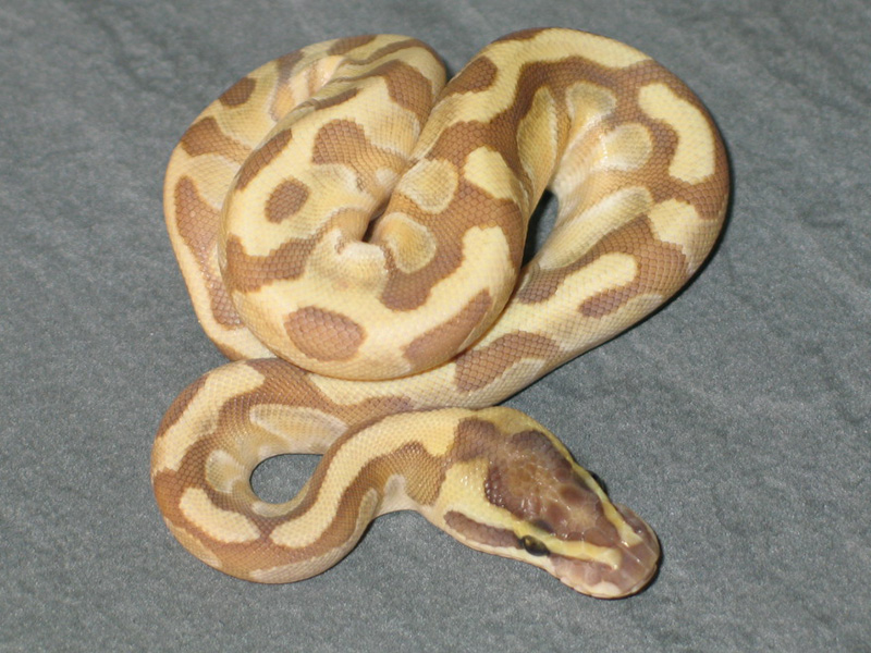 Fire Lesser Super Enchi