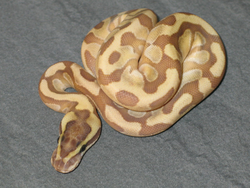 Fire Lesser Super Enchi