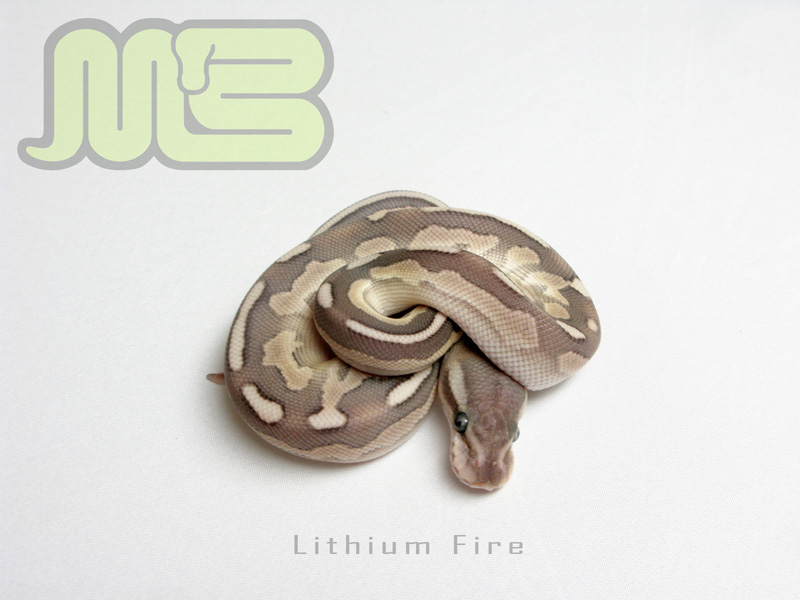 Lithium Fire