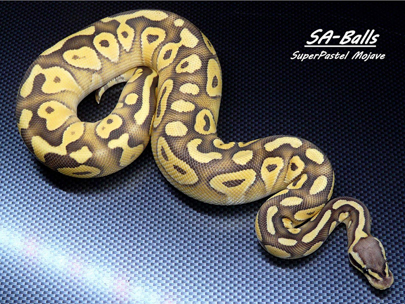 Mojave Super Pastel