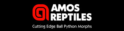 Amos Reptiles