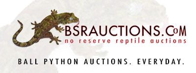 bsrauctions.com