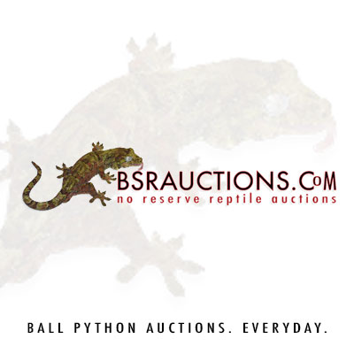 bsrauctions.com