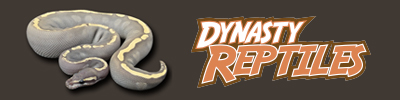 Dynasty Reptiles